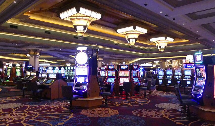 Baywin Casino Oyunları Nasıl Oynanır